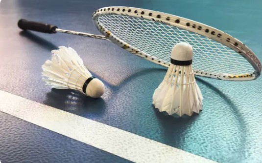 Accessories and Training